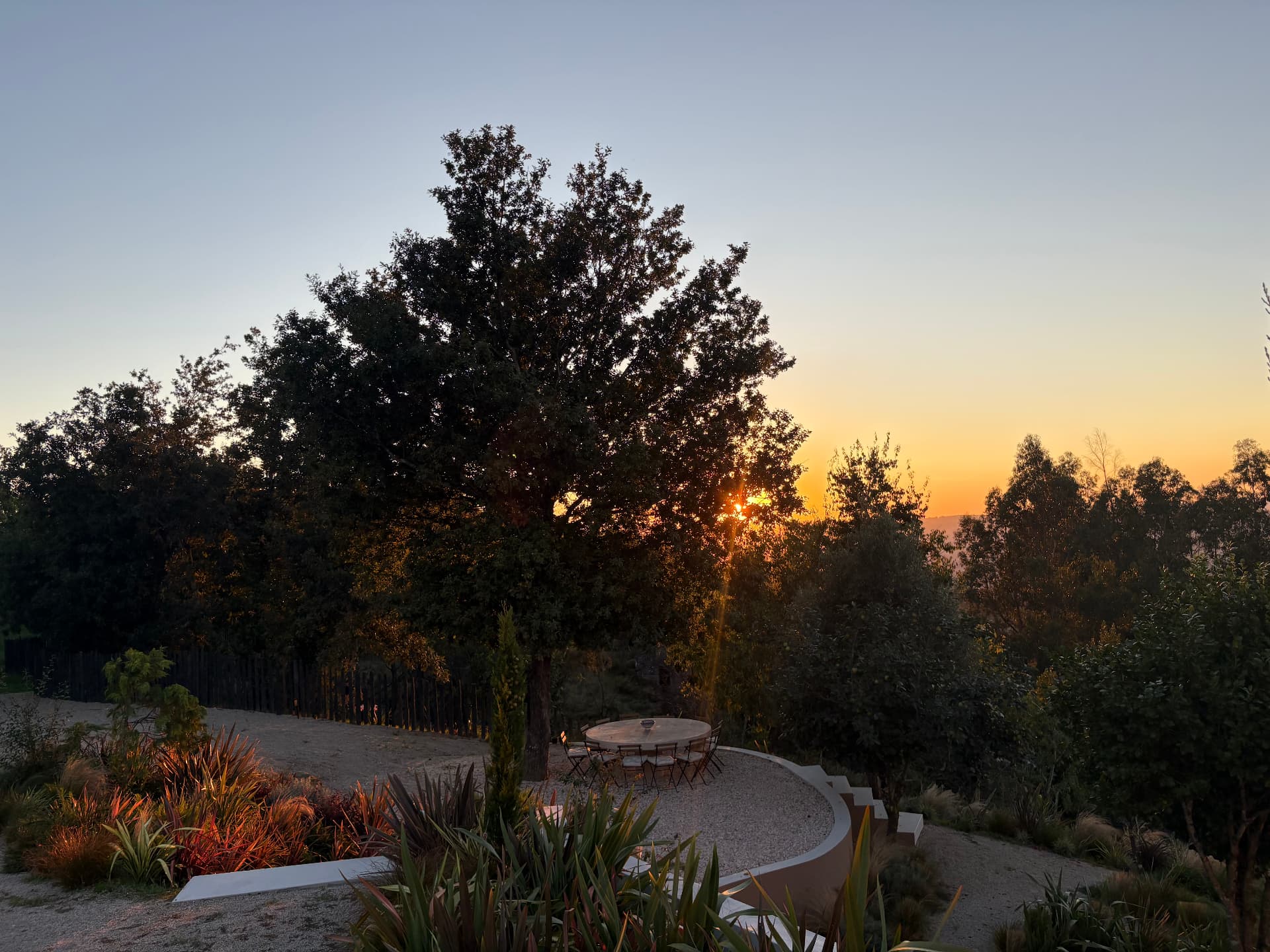 Garden dining terrace beneath mature trees at sunset
