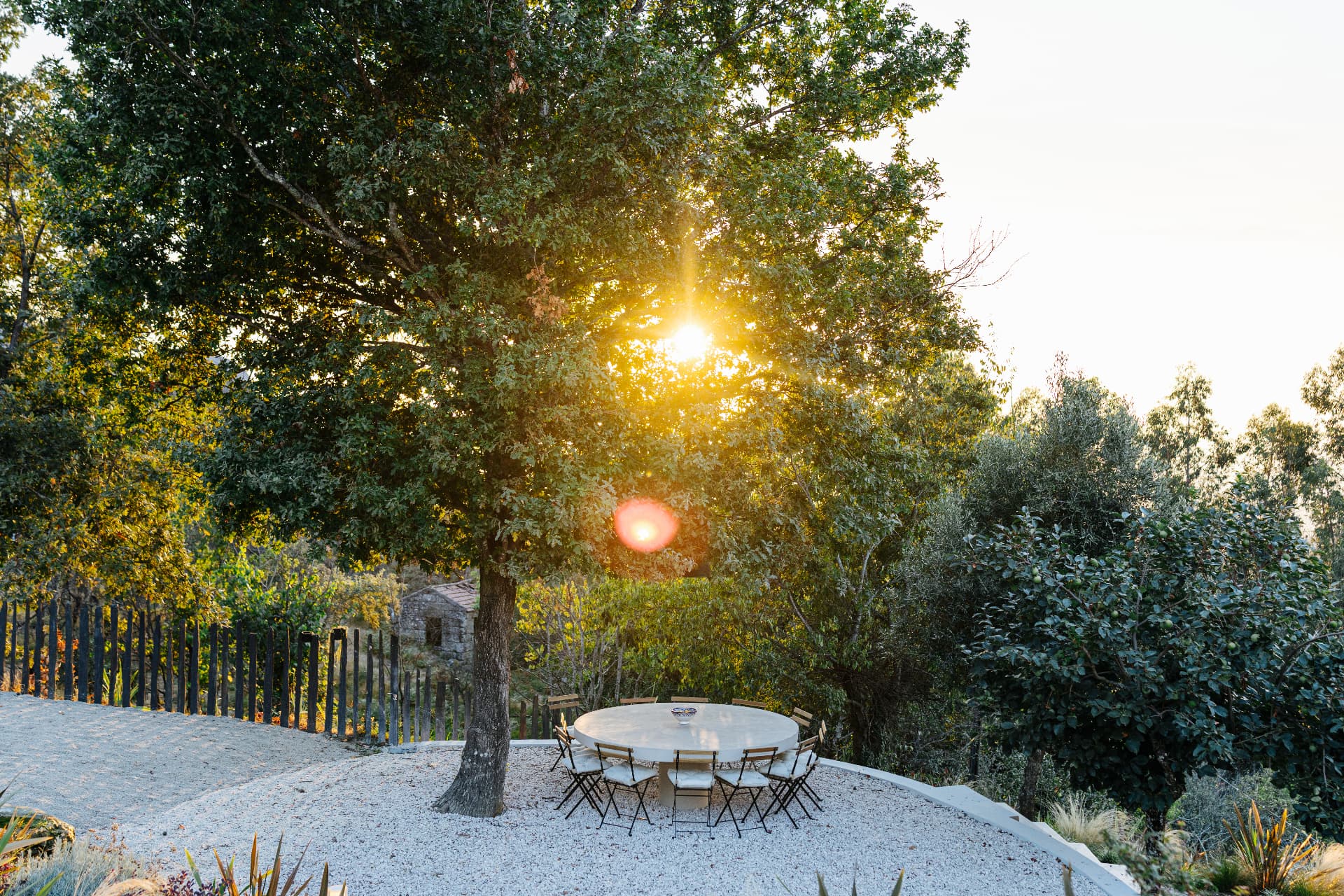 Round outdoor dining table beneath a tree with the sun shining through